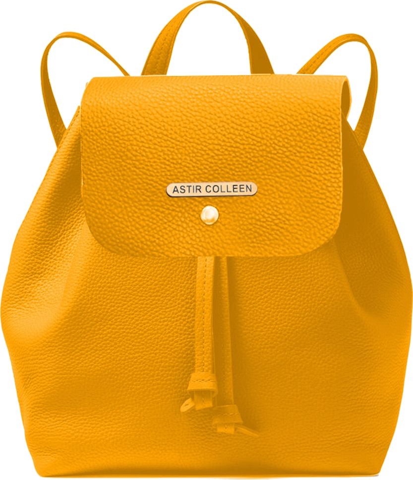 ASTIR COLLEEN Women/Girls PU Leather Backpack (Ailet) 12 L Backpack